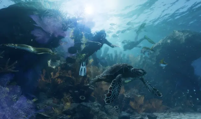 Below the surface off the Keys